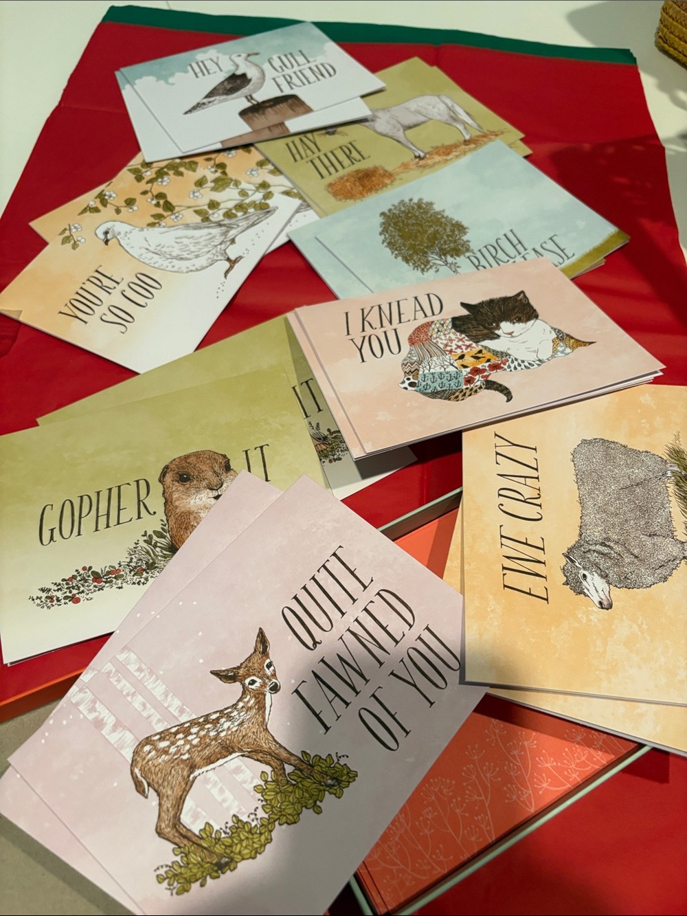 Animals Have Little Pun Note Cards I knead you Frida Clements Notecards T4